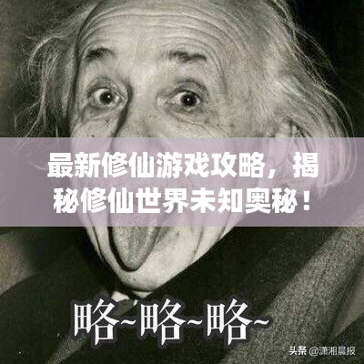 最新修仙游戏攻略,揭秘修仙世界未知奥秘!