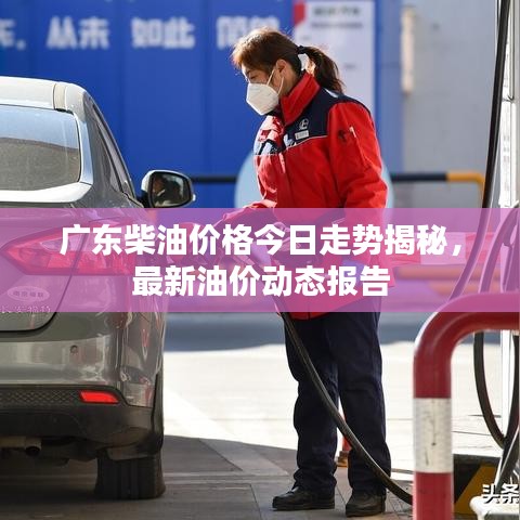 广东柴油价格今日走势揭秘，最新油价动态报告