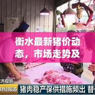 衡水最新猪价动态，市场走势及影响因素深度解析