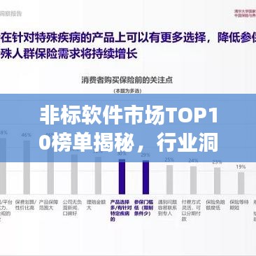 非标软件市场TOP10榜单揭秘，行业洞察与市场概览