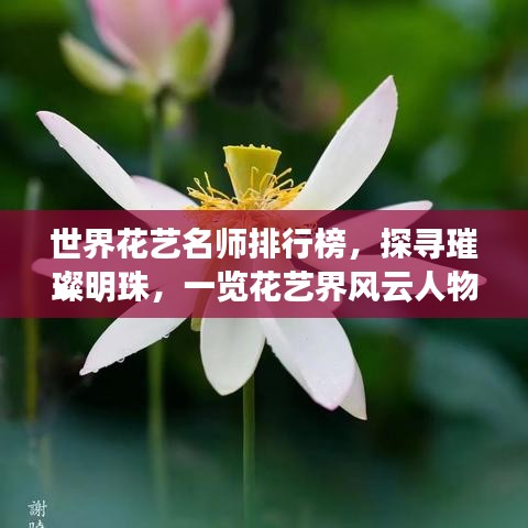 世界花艺名师排行榜，探寻璀璨明珠，一览花艺界风云人物