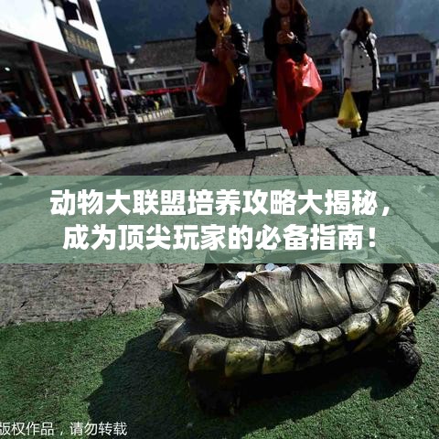 动物大联盟培养攻略大揭秘，成为顶尖玩家的必备指南！