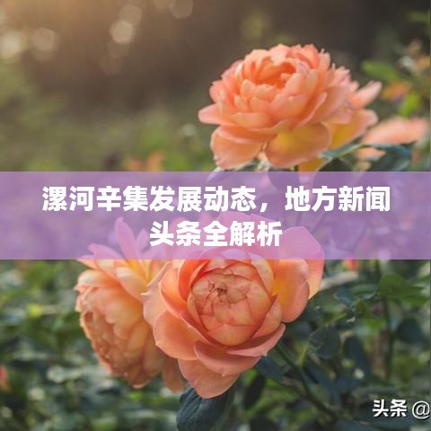 漯河辛集发展动态，地方新闻头条全解析