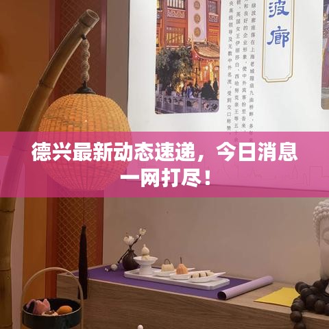 德兴最新动态速递，今日消息一网打尽！