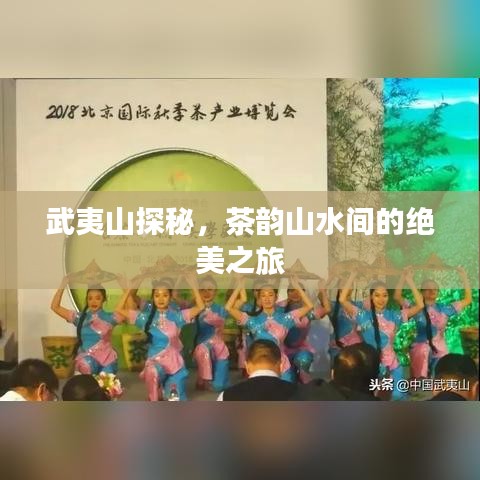武夷山探秘，茶韵山水间的绝美之旅