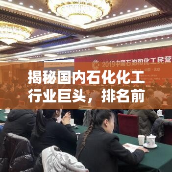 揭秘国内石化化工行业巨头，排名前十企业榜单出炉！