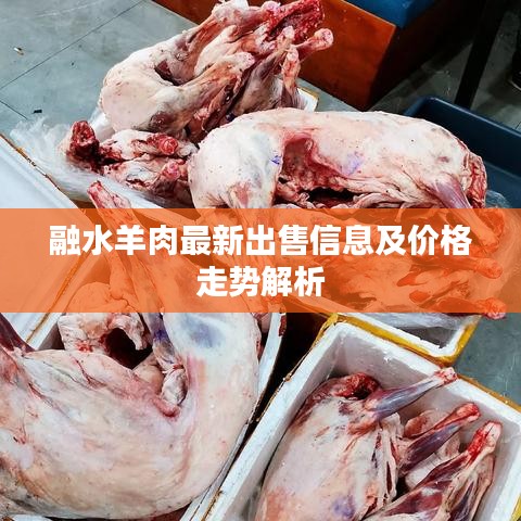 融水羊肉最新出售信息及价格走势解析
