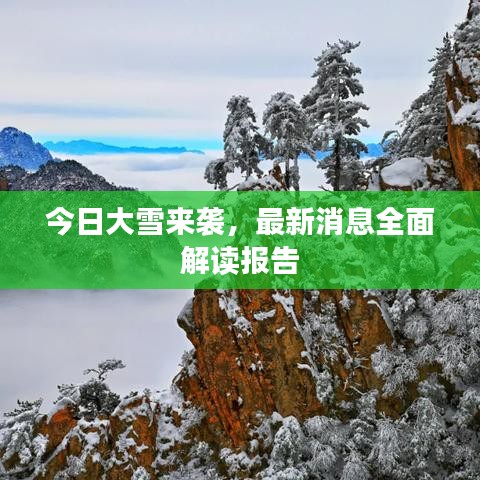 今日大雪来袭，最新消息全面解读报告