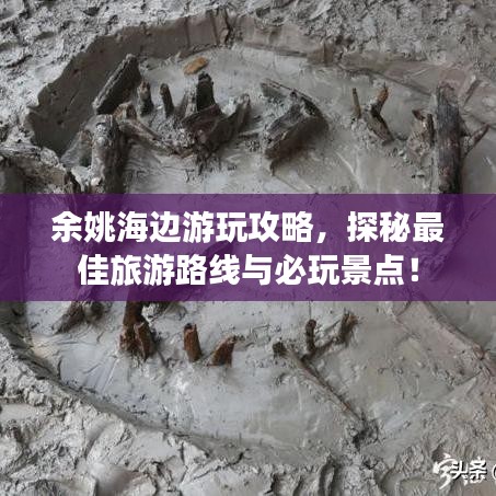 余姚海边游玩攻略，探秘最佳旅游路线与必玩景点！