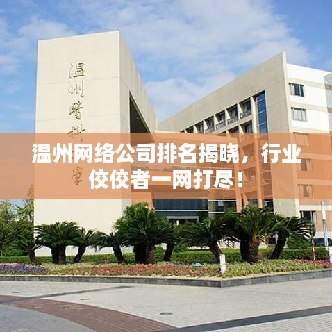 温州网络公司排名揭晓，行业佼佼者一网打尽！