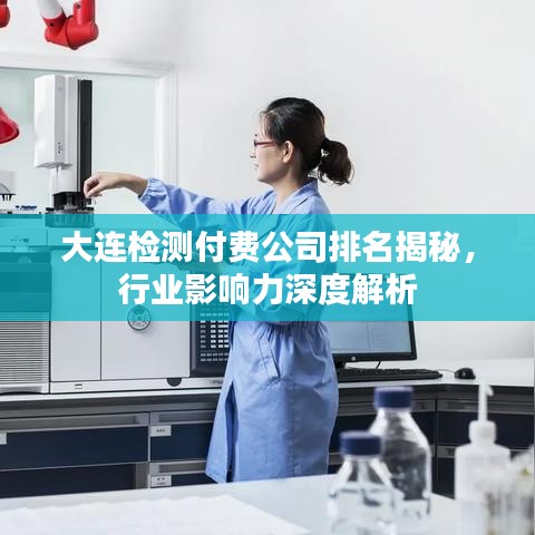 大连检测付费公司排名揭秘，行业影响力深度解析