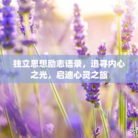 独立思想励志语录，追寻内心之光，启迪心灵之旅