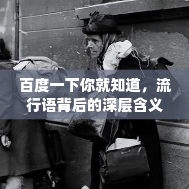 百度一下你就知道，流行语背后的深层含义与对生活的影响探讨