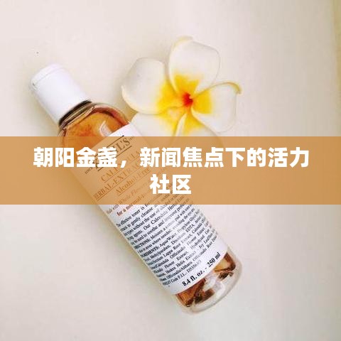 朝阳金盏,新闻焦点下的活力社区