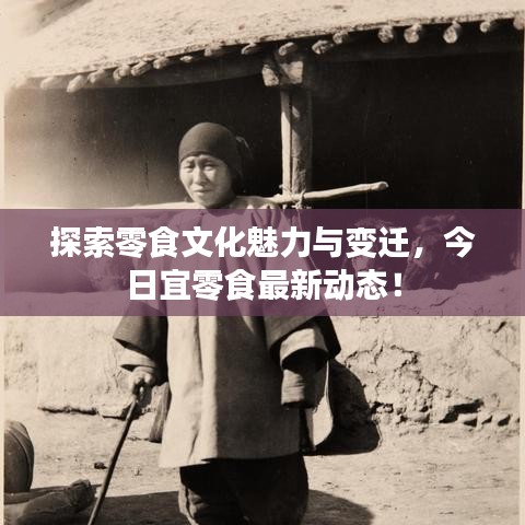 探索零食文化魅力与变迁，今日宜零食最新动态！