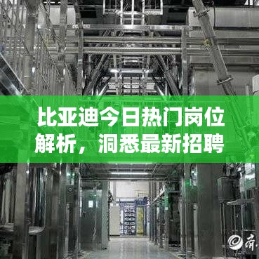 比亚迪今日热门岗位解析,洞悉最新招聘趋势