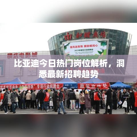 比亚迪今日热门岗位解析，洞悉最新招聘趋势