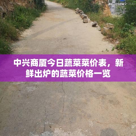 中兴商厦今日蔬菜菜价表，新鲜出炉的蔬菜价格一览