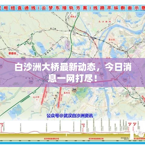 白沙洲大桥最新动态，今日消息一网打尽！