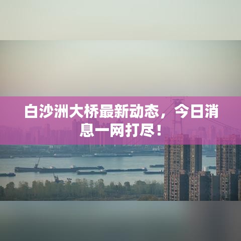 白沙洲大桥最新动态,今日消息一网打尽!