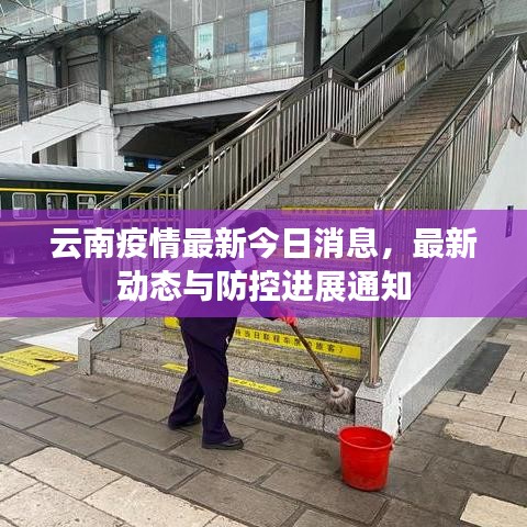 云南疫情最新今日消息,最新动态与防控进展通知