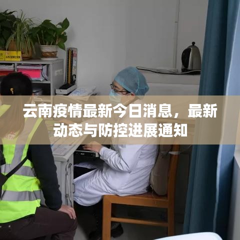 云南疫情最新今日消息，最新动态与防控进展通知