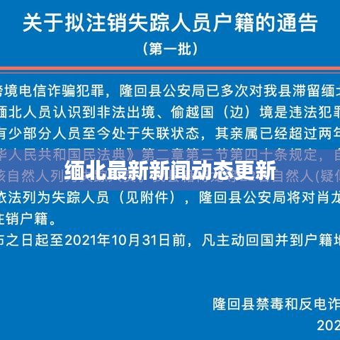 缅北最新新闻动态更新