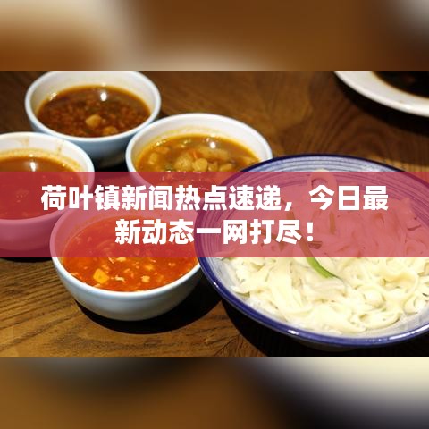 荷叶镇新闻热点速递，今日最新动态一网打尽！