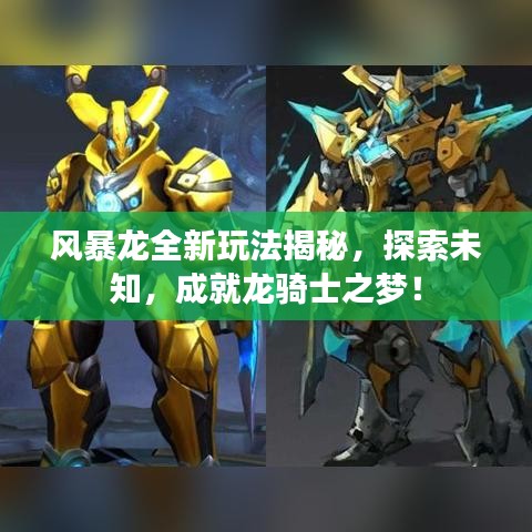 风暴龙全新玩法揭秘，探索未知，成就龙骑士之梦！