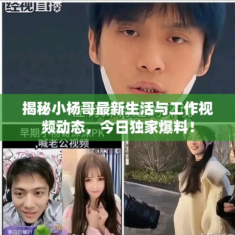 揭秘小杨哥最新生活与工作视频动态，今日独家爆料！