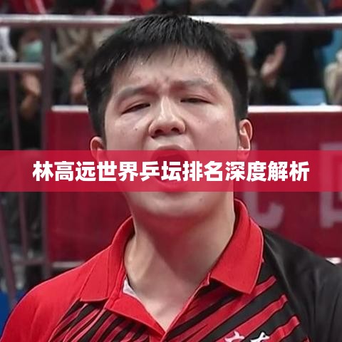 林高远世界乒坛排名深度解析