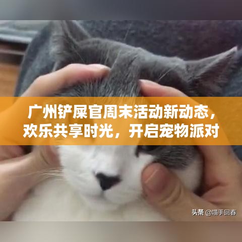 广州铲屎官周末活动新动态，欢乐共享时光，开启宠物派对之门
