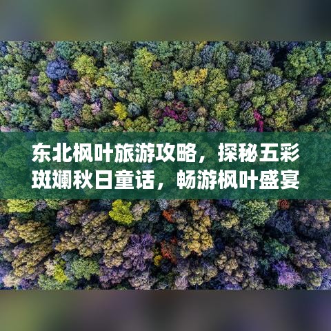 东北枫叶旅游攻略,探秘五彩斑斓秋日童话,畅游枫叶盛宴