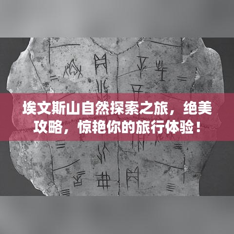 埃文斯山自然探索之旅，绝美攻略，惊艳你的旅行体验！