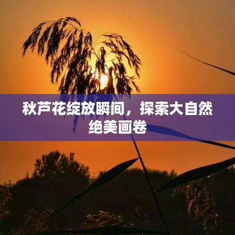 将机就机 第8页