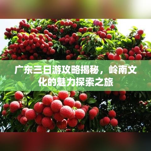 广东三日游攻略揭秘，岭南文化的魅力探索之旅