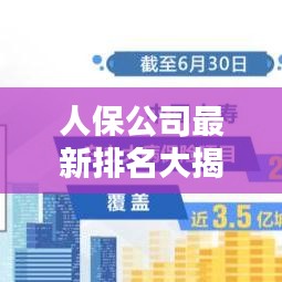 人保公司最新排名大揭秘，稳健前行，质量为王