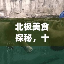 北极美食探秘，十大特色食物榜单，感受极地美食的魅力