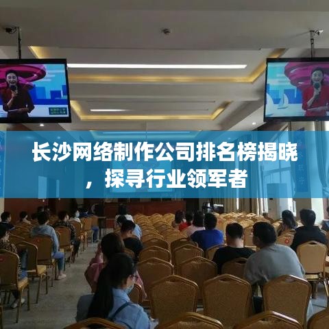 长沙网络制作公司排名榜揭晓，探寻行业领军者