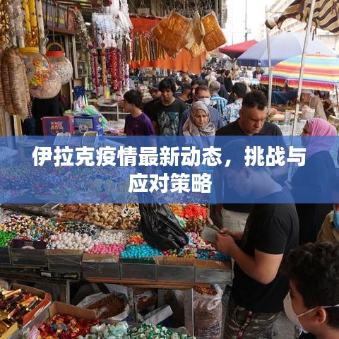 伊拉克疫情最新动态，挑战与应对策略