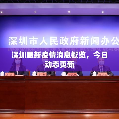 深圳最新疫情消息概览，今日动态更新