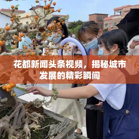 花都新闻头条视频，揭秘城市发展的精彩瞬间