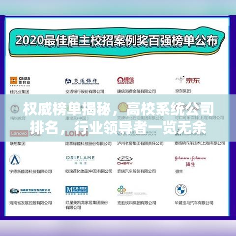 权威榜单揭秘，高校系统公司排名，行业领导者一览无余
