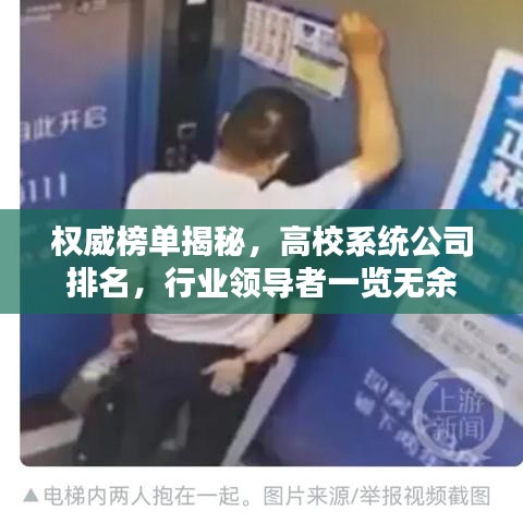 权威榜单揭秘,高校系统公司排名,行业领导者一览无余