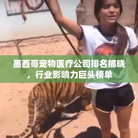 墨西哥宠物医疗公司排名揭晓,行业影响力巨头榜单