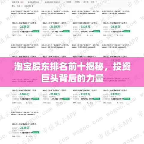 淘宝股东排名前十揭秘，投资巨头背后的力量