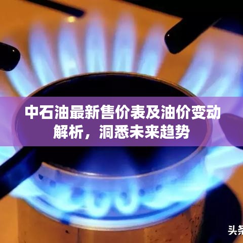 中石油最新售价表及油价变动解析,洞悉未来趋势