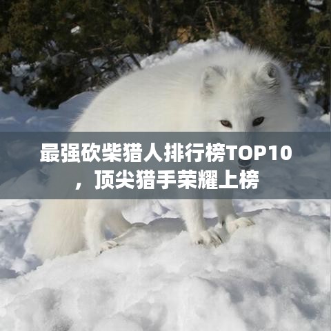 最强砍柴猎人排行榜TOP10，顶尖猎手荣耀上榜