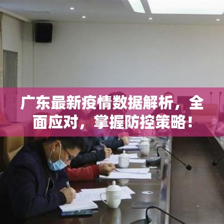 广东最新疫情数据解析，全面应对，掌握防控策略！