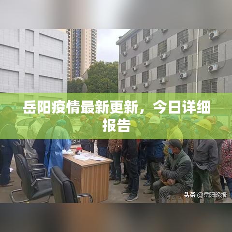 岳阳疫情最新更新，今日详细报告